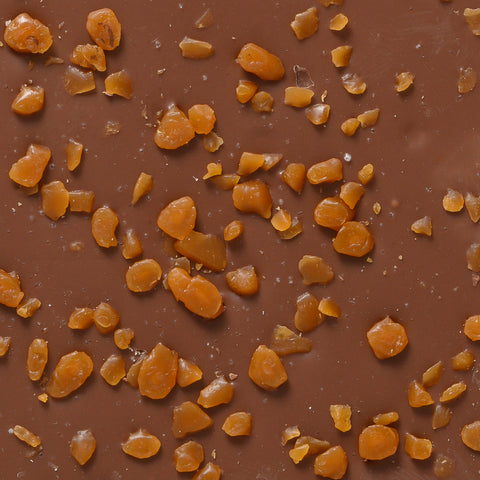 Salted Caramel Inclusions Chocolate Bar