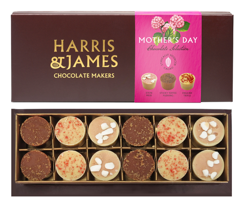 Mother's Day Great British Puddings Chocolate Selection Box (12)