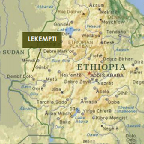 Ethiopia Lekempti, Wellega 227g