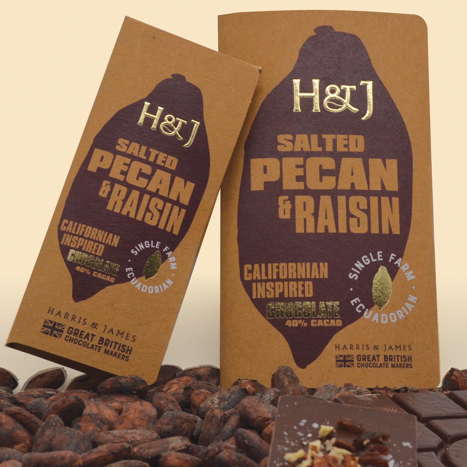 Salted Pecan & Raisin Chocolate Bar